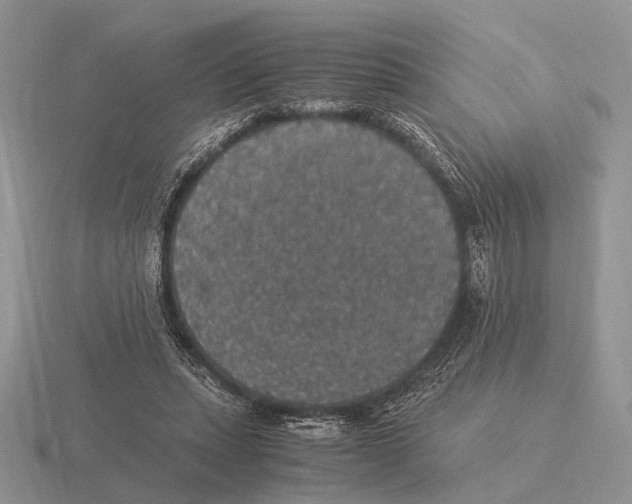 X0000116000447200912170953