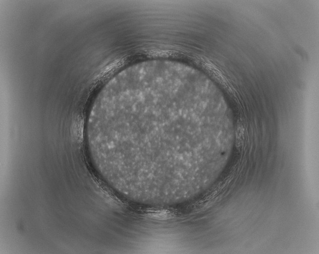 X0000116000454200912170953
