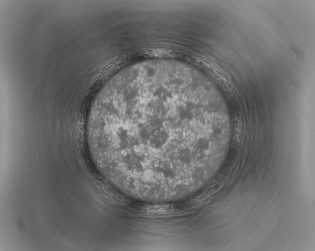 X0000116000461200912170954