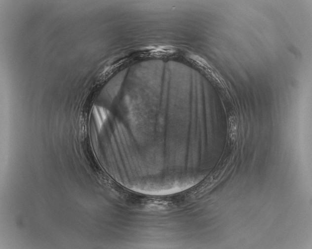 X0000116000471200912170954