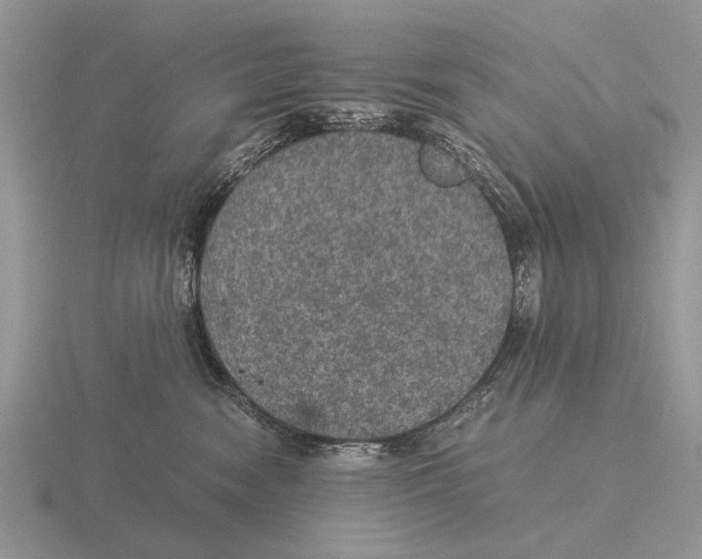X0000116000474200912170954