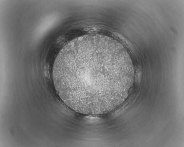 X0000116000477200912170954