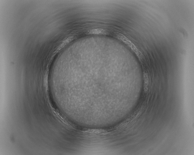 X0000116000482200912170953
