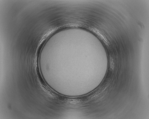 X0000116000486200912170953