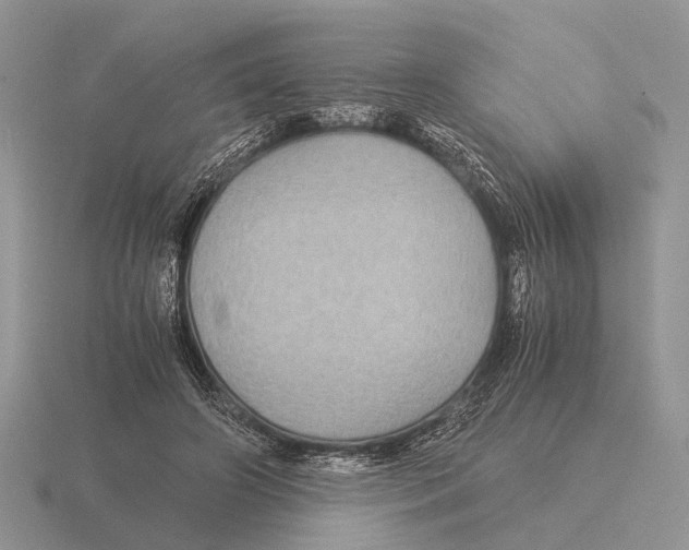 X0000116000498200912170953