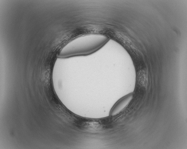 X0000116000509200912170953