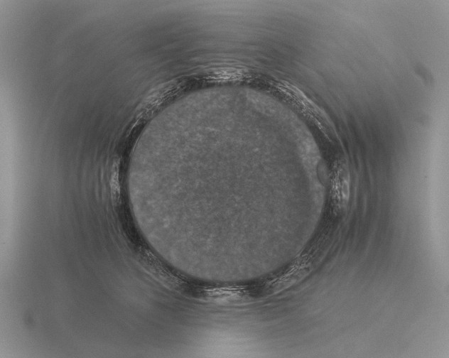 X0000116000516200912170952