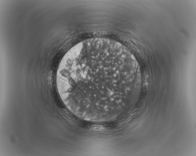X0000116000519200912170952