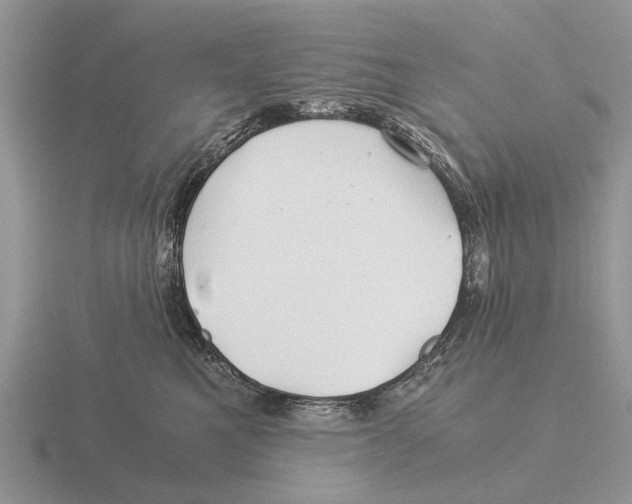 X0000116000521200912170952