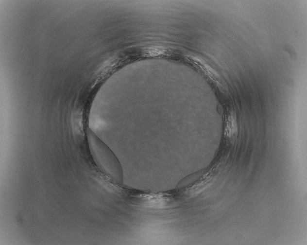 X0000116000524200912170952