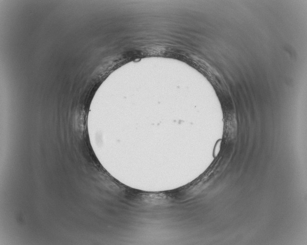 X0000116000525200912170952