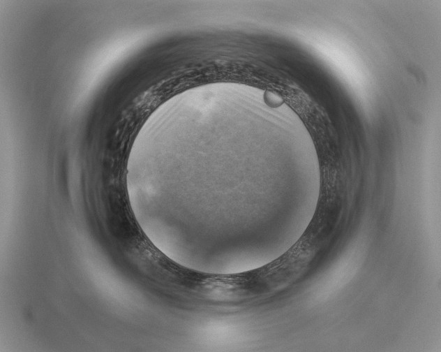 X0000116000526200912170952
