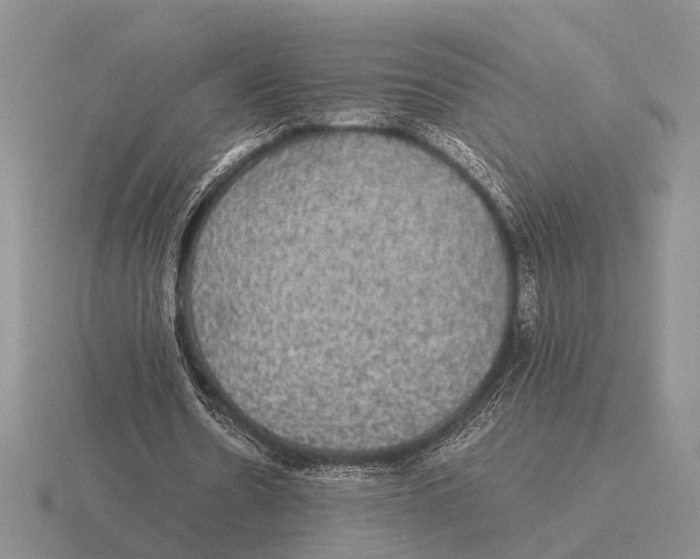 X0000116000530200912170952