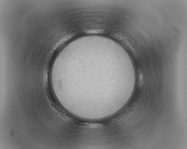 X0000116000539200912170952