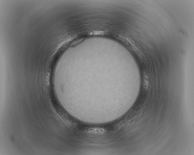 X0000116000543200912170952