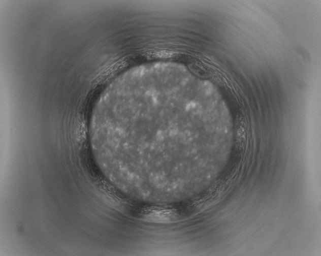 X0000116000555200912170952