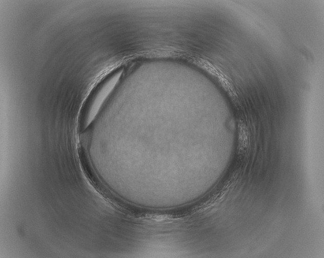 X0000116000582200912170952