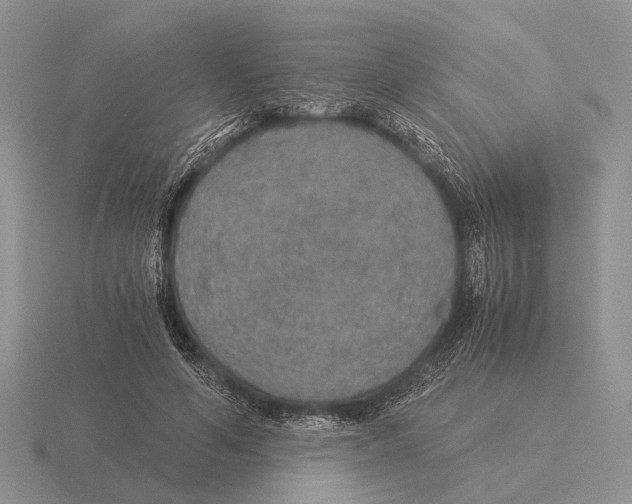 X0000116000594200912170951