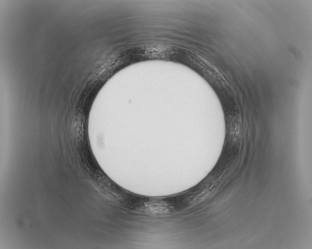 X0000116000603200912170951