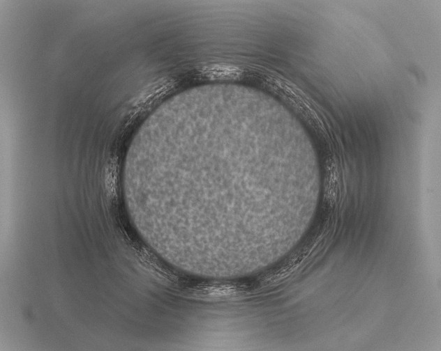 X0000116000604200912170951