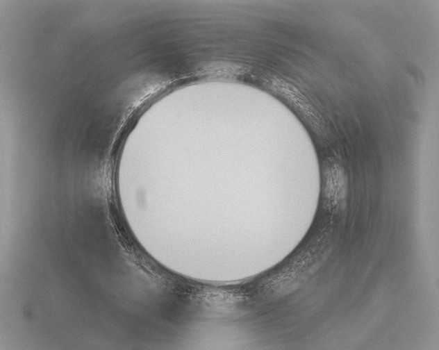 X0000116000632200912170950