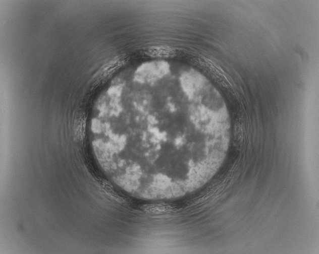X0000116000652200912170951