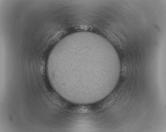 X0000116000656200912170951
