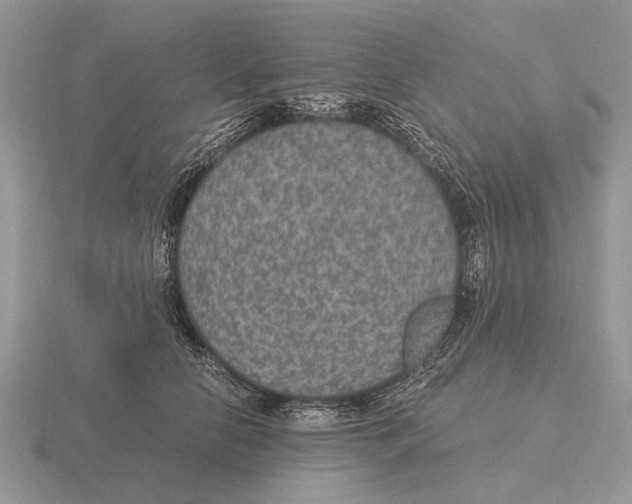 X0000116000658200912170951
