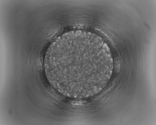 X0000116000661200912170951