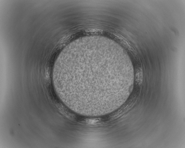 X0000116000662200912170951