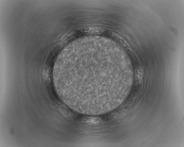 X0000116000663200912170951