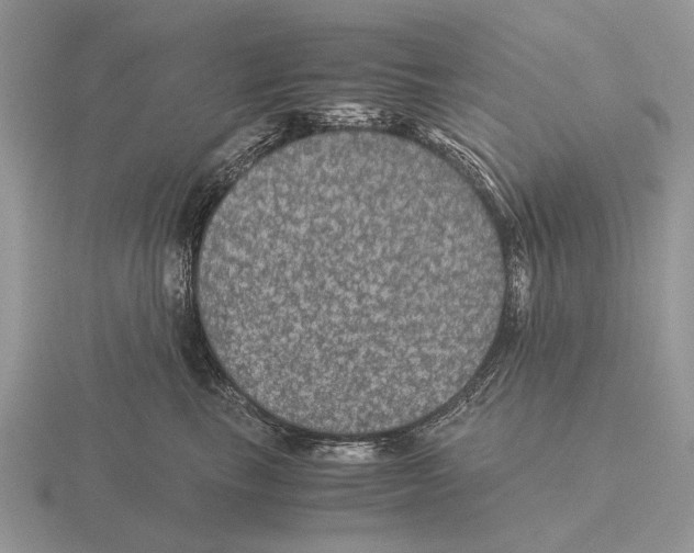 X0000116000665200912170951