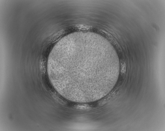 X0000116000666200912170951