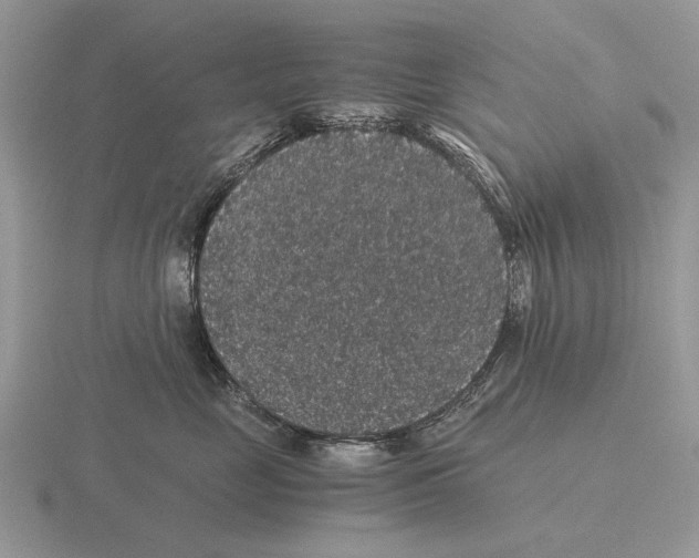 X0000116000669200912170951