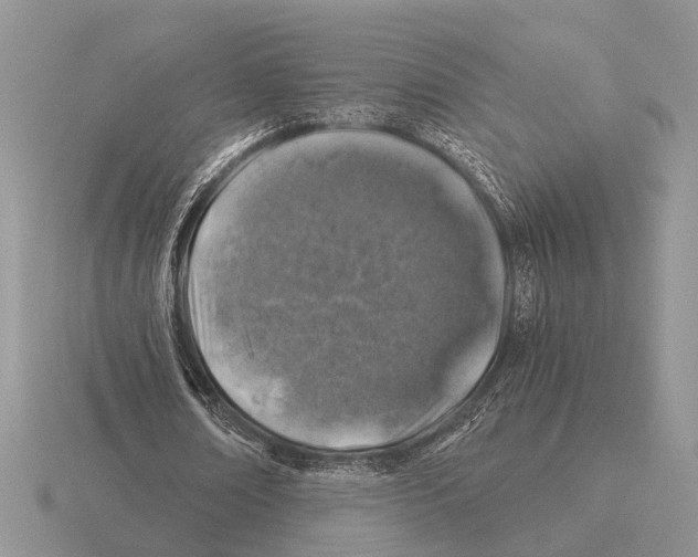 X0000116000674200912170950