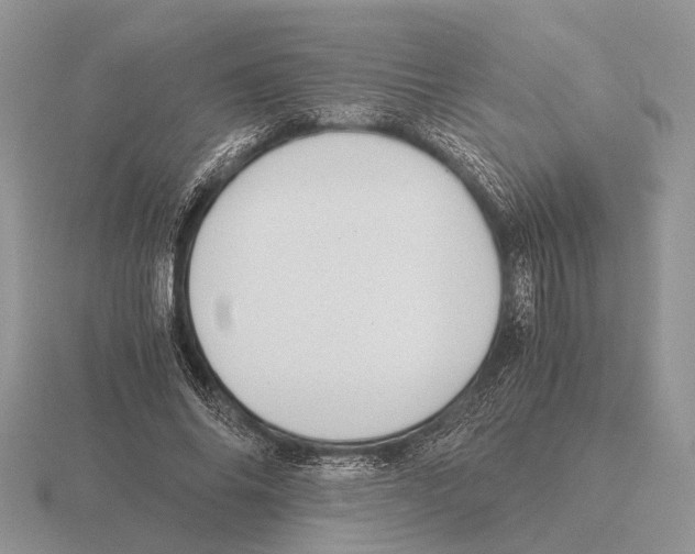 X0000116000686200912170950