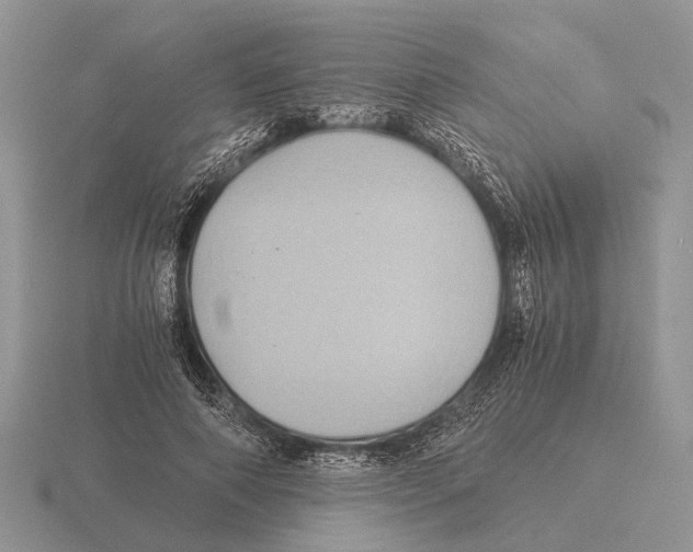 X0000116000690200912170950