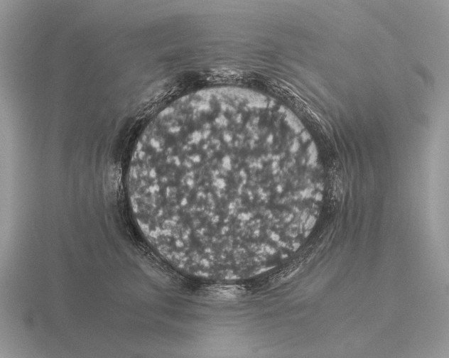 X0000116000711200912170950