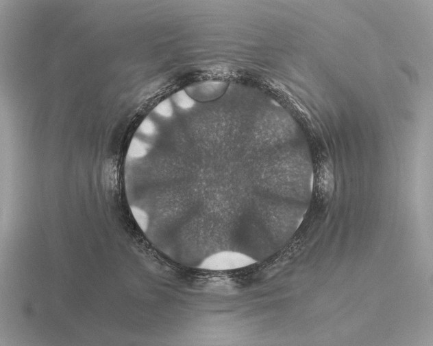 X0000116000715200912170950