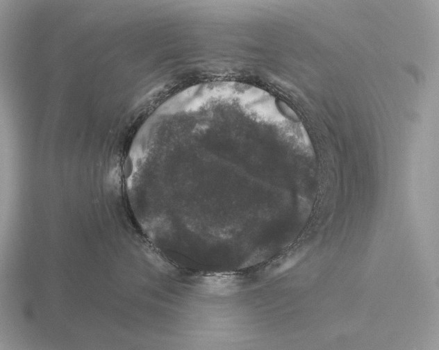 X0000116000720200912170950