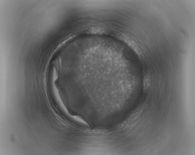 X0000116000722200912170949