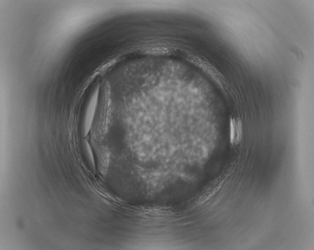 X0000116000723200912170949