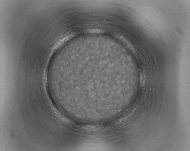 X0000116000725200912170949