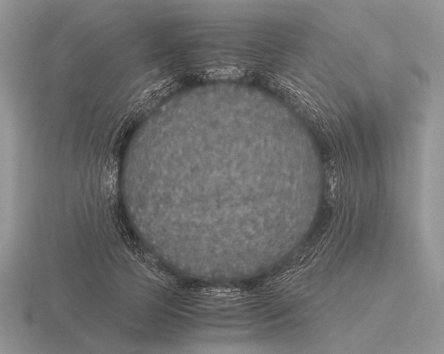 X0000116000745200912170949