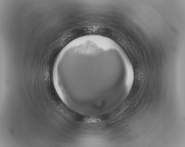 X0000116000754200912170949