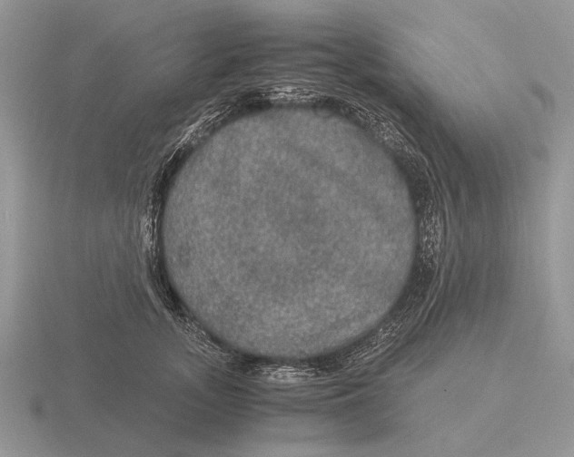 X0000116000755200912170949