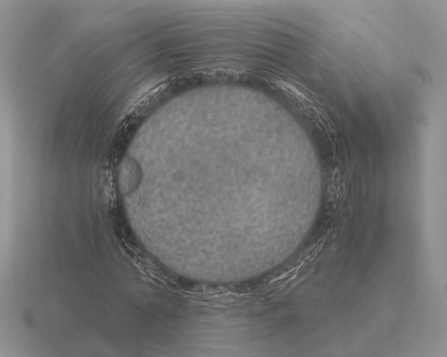X0000116000774200912170949