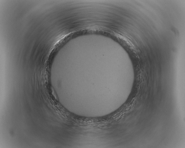 X0000116000776200912170949