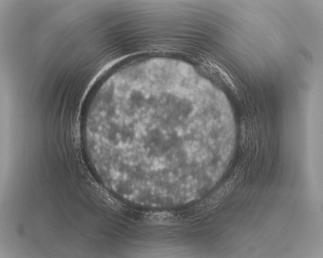 X0000116000784200912170949