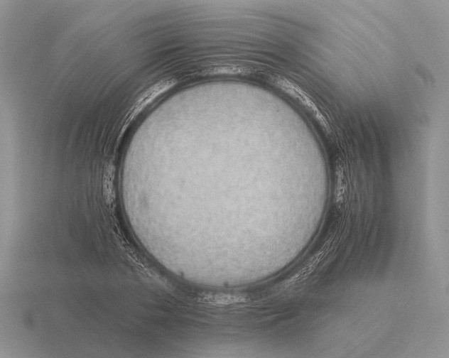 X0000116000786200912170949